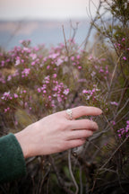 Flannel Flower Ring