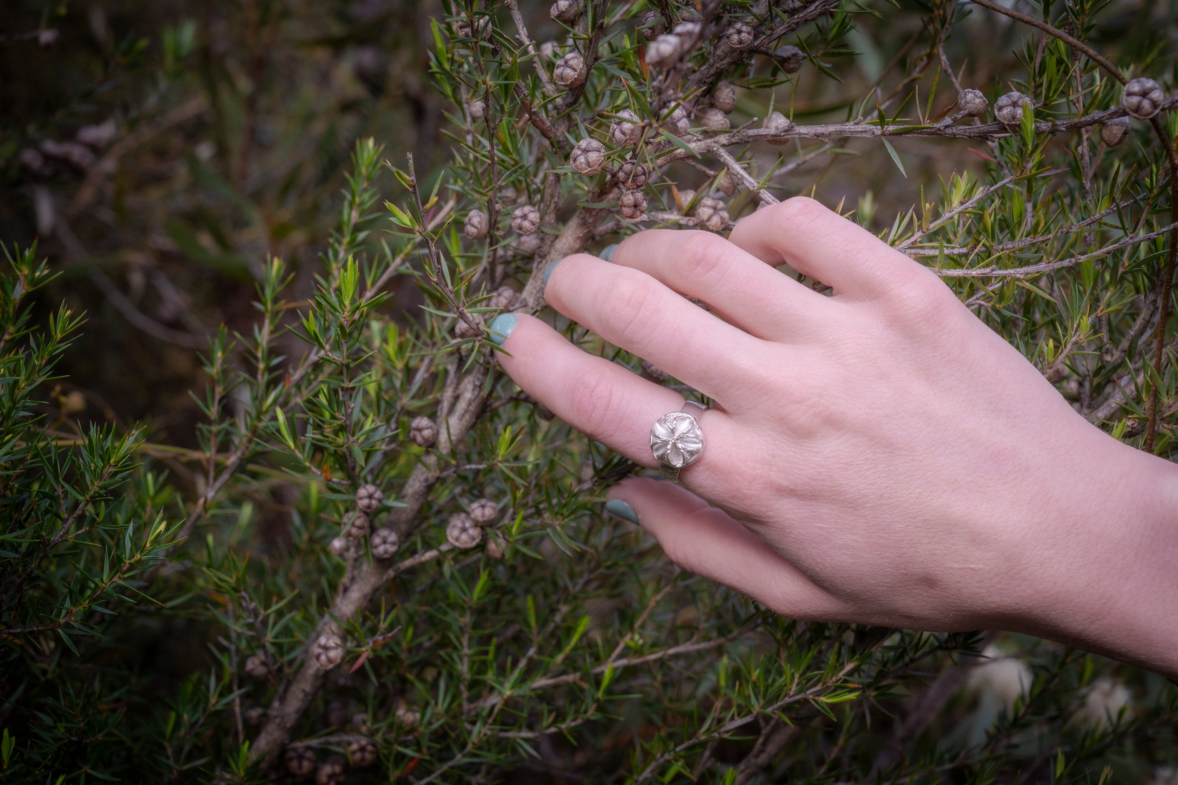 Tee Tree Seed Pod Ring