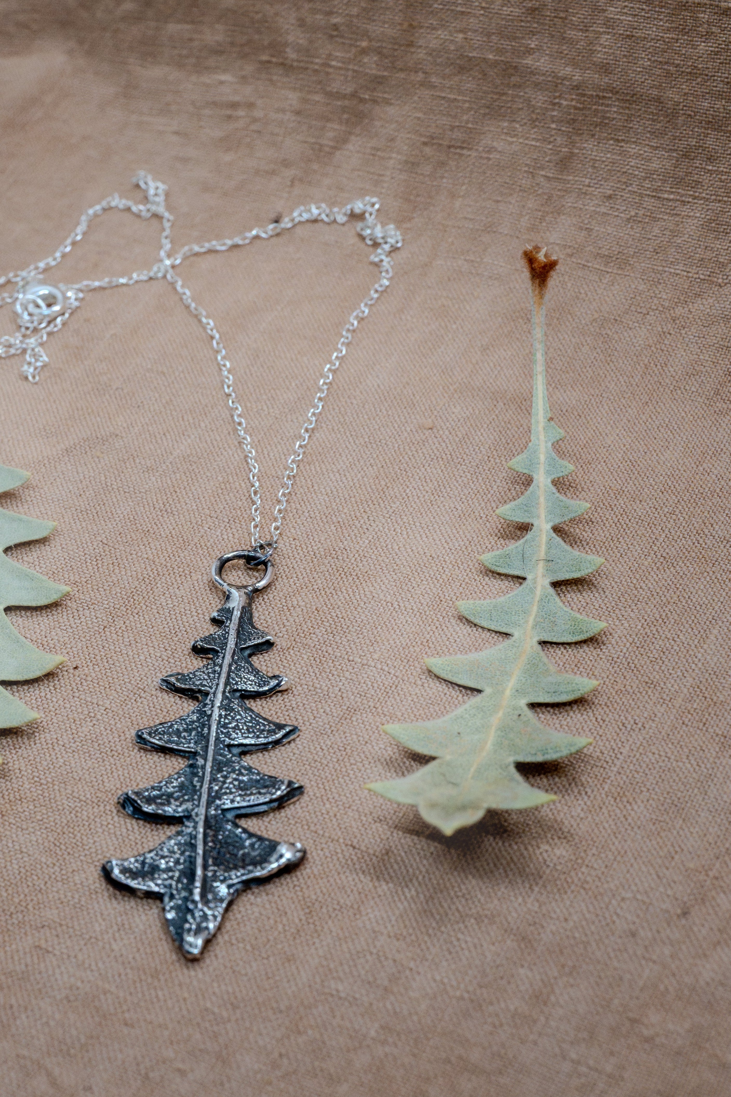 Banksia Blechnifolia Sterling Silver Pendant