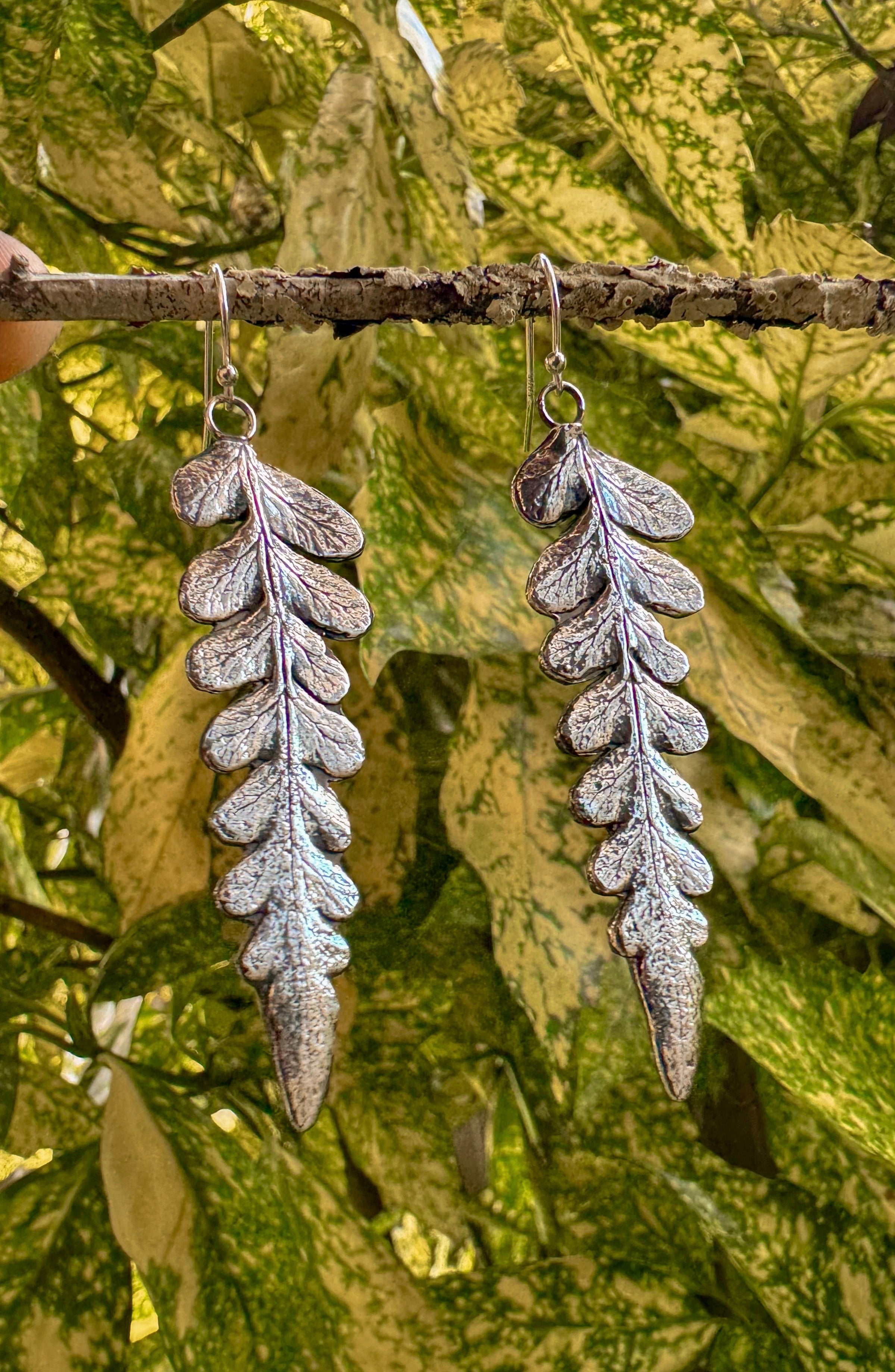 Silver Batwing Fern Earrings