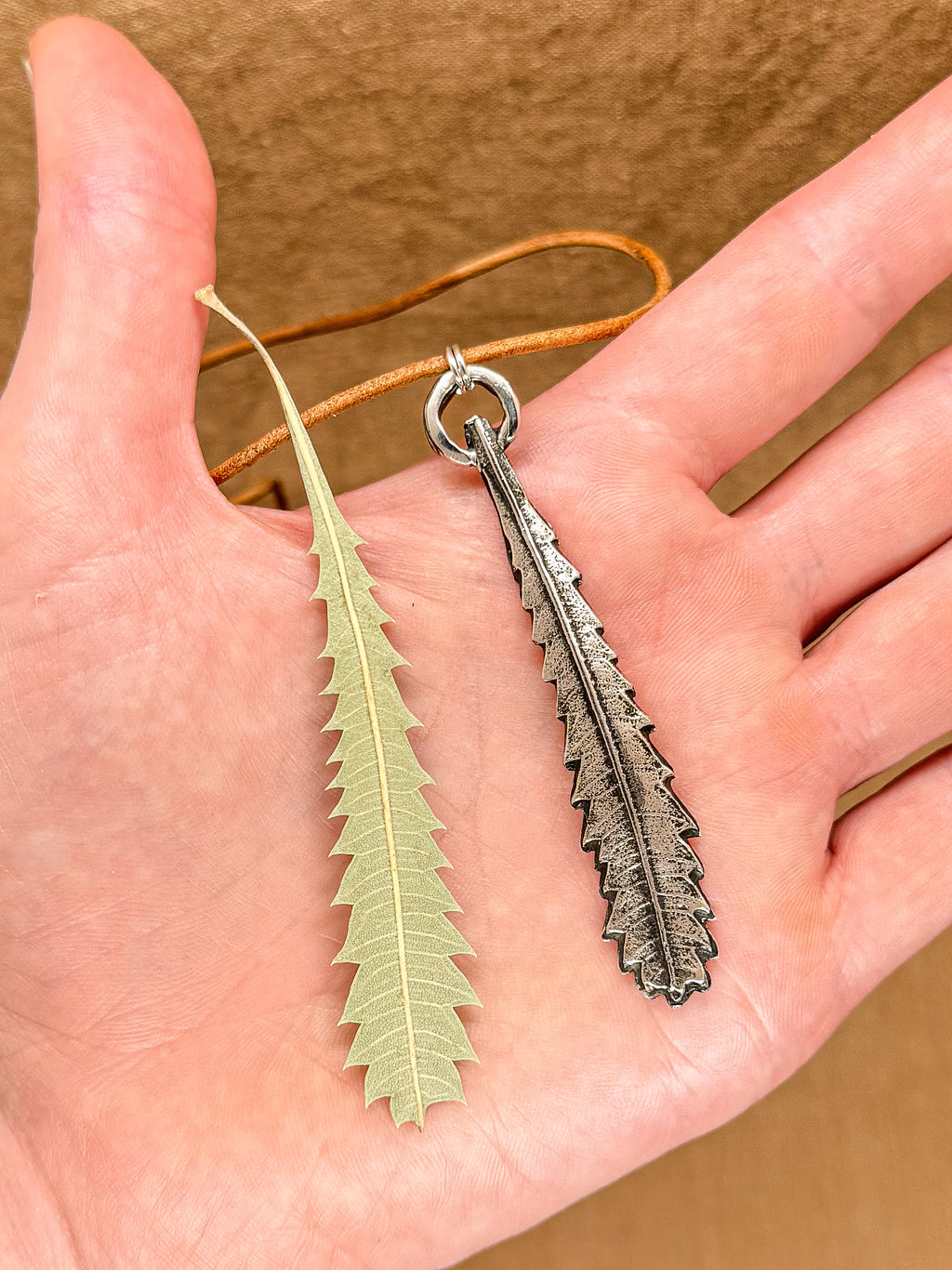 Banksia aemula pendant