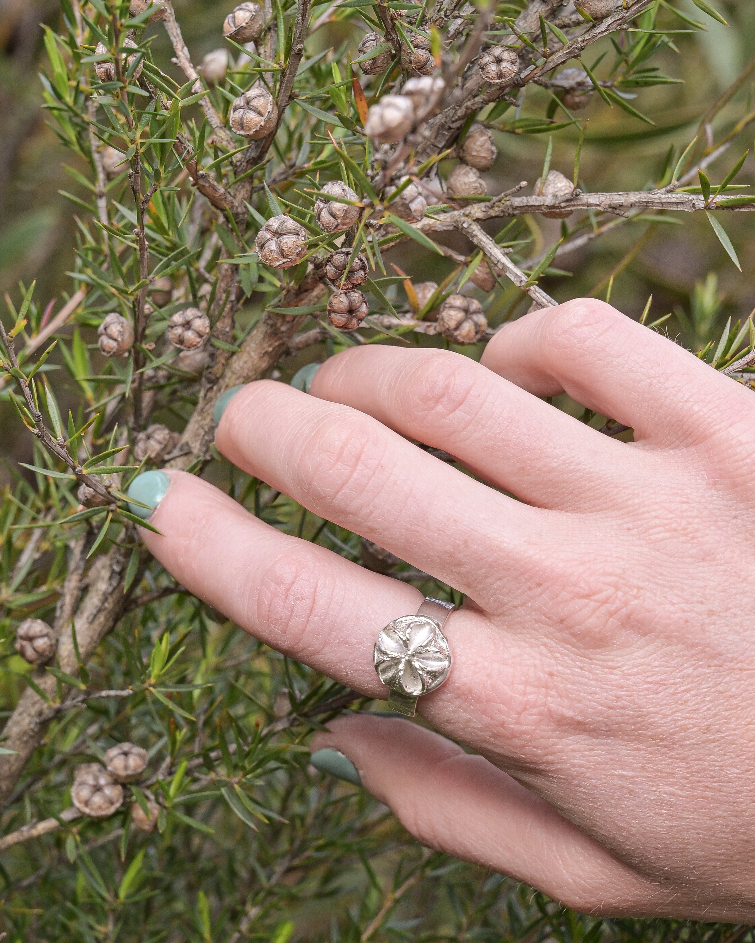 Tee Tree Seed Pod Ring