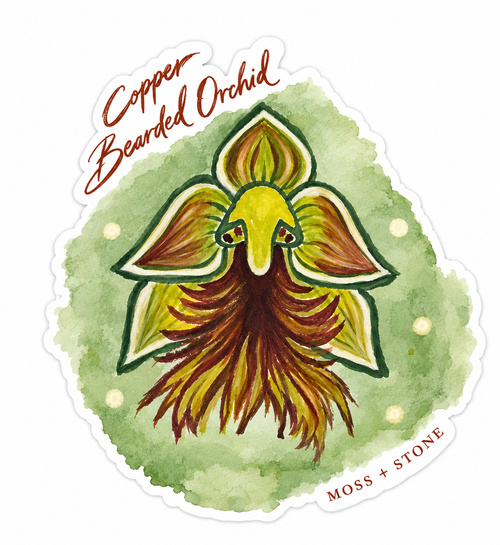 Copper Bearded Orchid Sticker