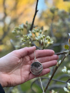 Moss Agate in Sterling Silver Pendant Necklace